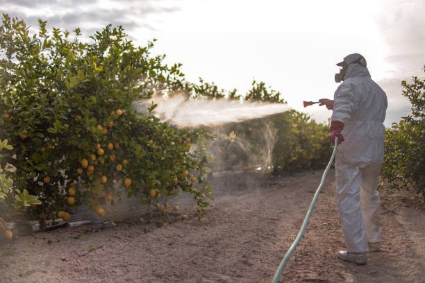 Crandon Lakes, NJ Pest Control Company