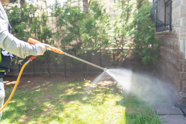 Best Affordable Pest Control Services  in Crandon Lakes, NJ