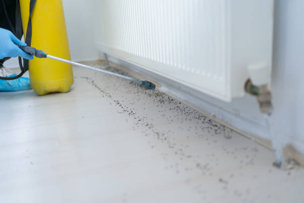 Best Pest Removal Services  in Crandon Lakes, NJ